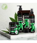 Odświeżający szampon z olejem konopnym do włosów niesfornym CAMELEO GREEN 250ml